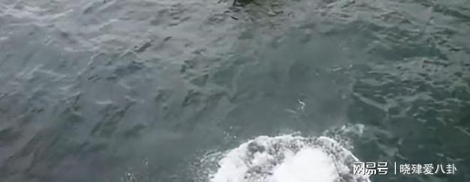 九游体育王一博忍无可忍乱说话者自食其果结局大快人心(图3)