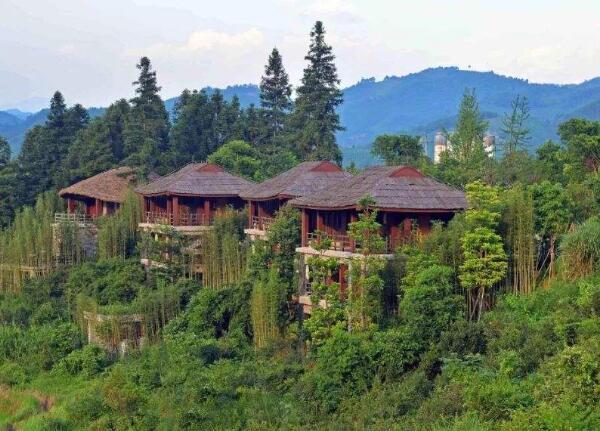 九游体育2025拥抱人气经济