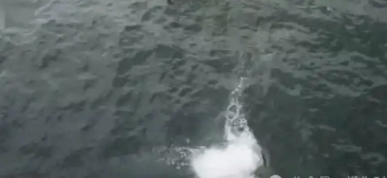 九游体育“王一博徒手攀岩坠海”热搜：人没事 安全高度