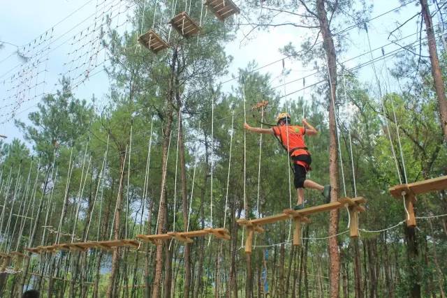 花瓣冰雕不再“受伤”！长春新民九游体育大街冰雕挂上警示牌家长孩子都自觉了