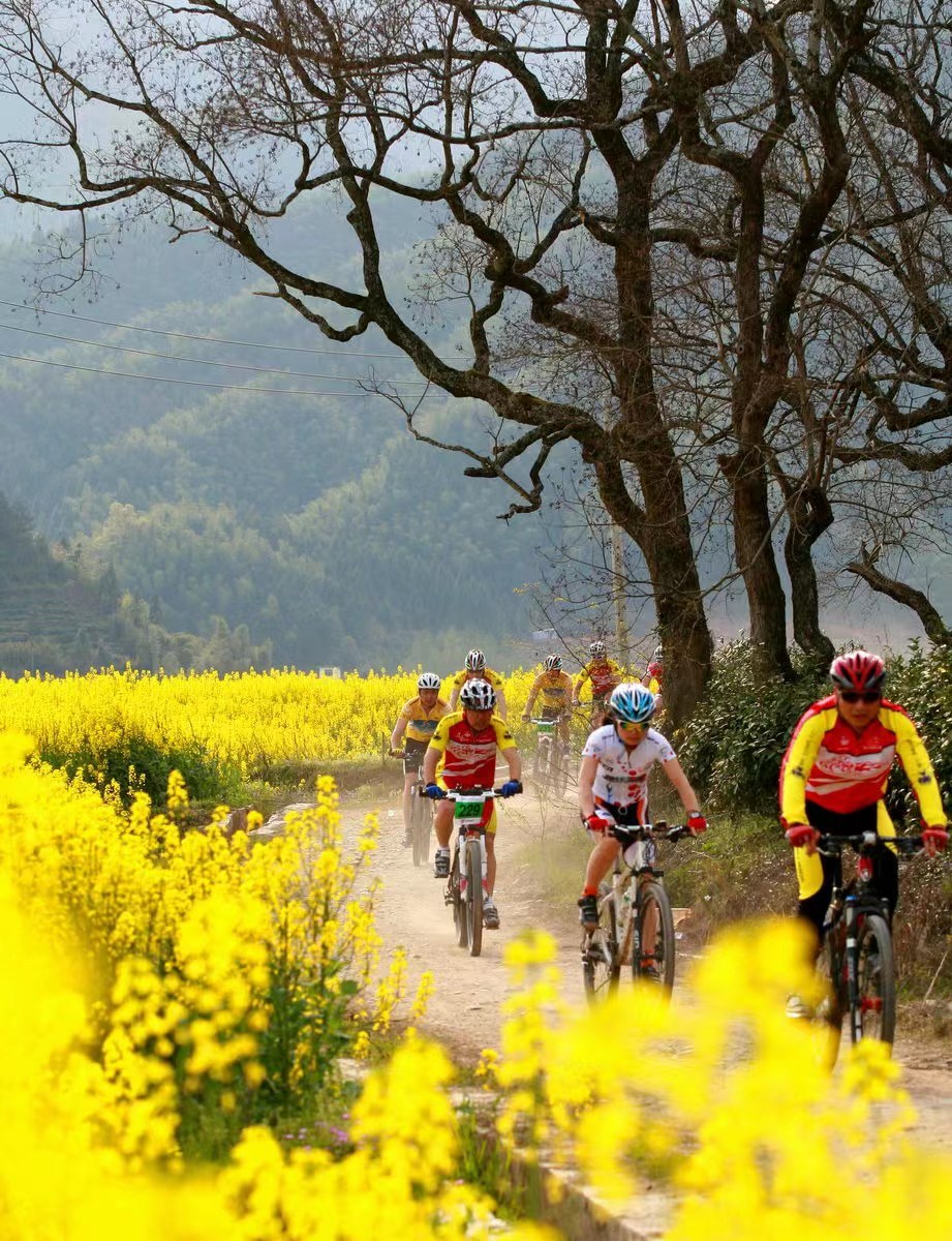 2026北京两会｜政协委员建言首都生态协同与科创升级九游体育