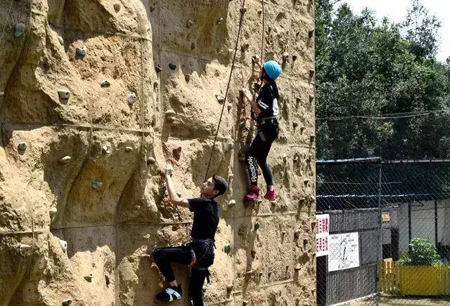 九游体育戴尔导购