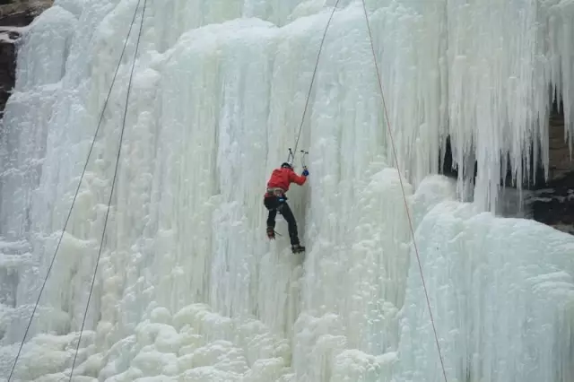 九游体育游戏酷装备_【游戏】手机｜网络｜单机装备_天极网频道