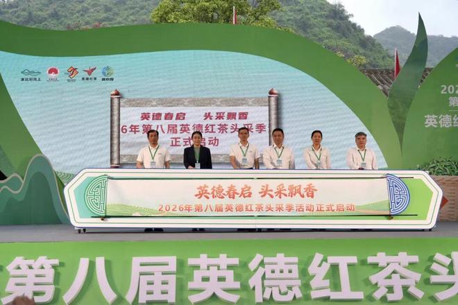 锚定全国红茶第一品牌！ 2026年第八届九游体育英德红茶头采季盛大开幕