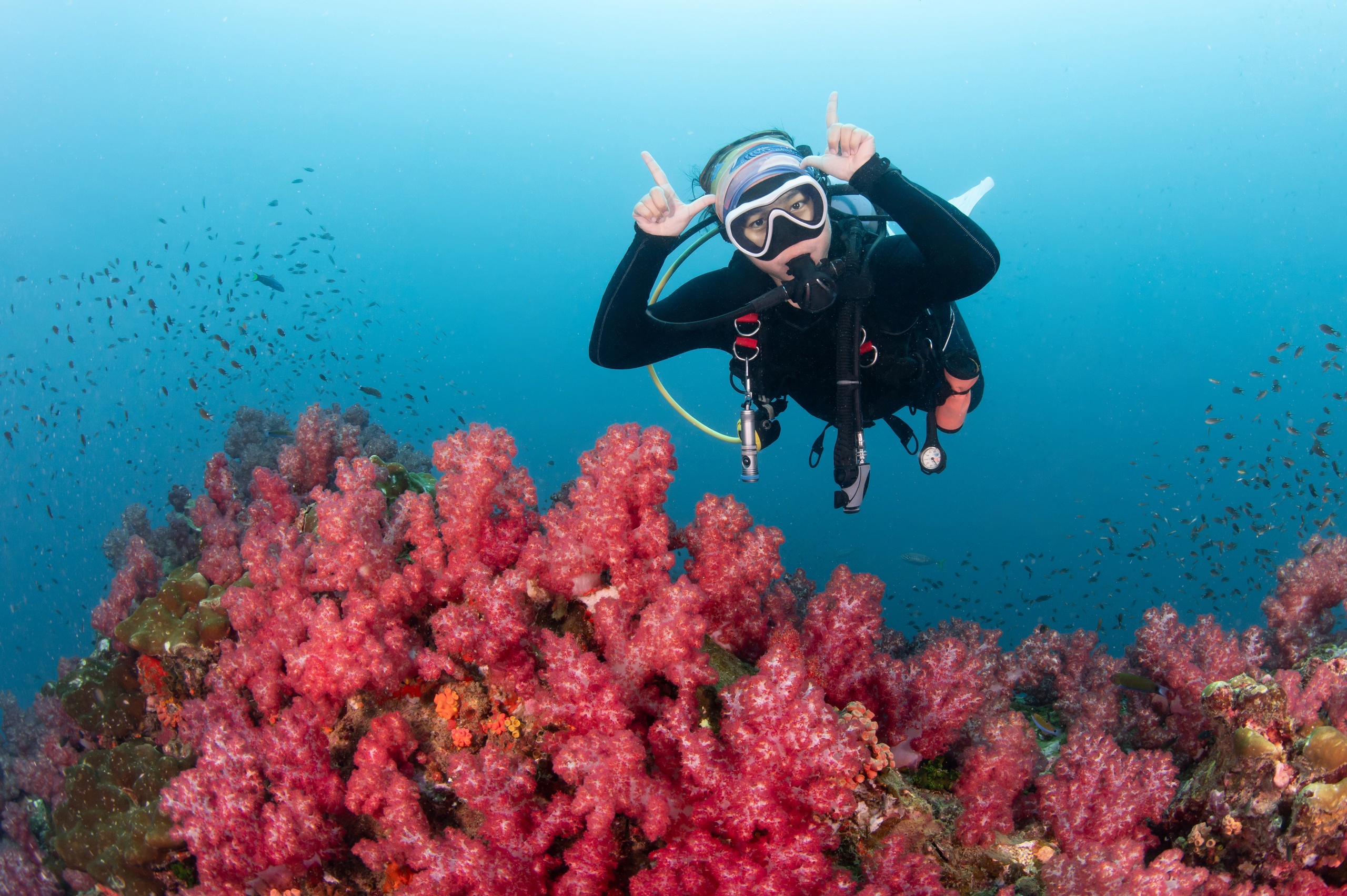 潜水证增速超全球8倍谁在推动中国九游体育成全球第一潜水市场？