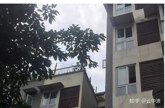 九游体育幼儿马术课坠马受伤法院：教练未在安全距离指导培训机构担全责